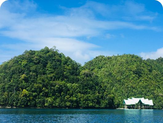 9e750a10 mask group1.png